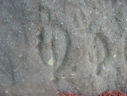 2 Close-up of leaf shaped petroglyph at Track Rock