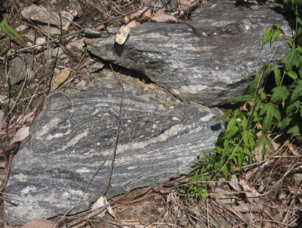 7 Migmatite in the Cartoogechaye terrane 